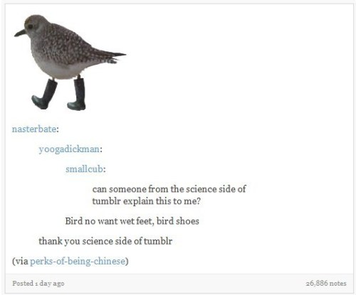 itsstuckyinmyhead: The Science Side of Tumblr