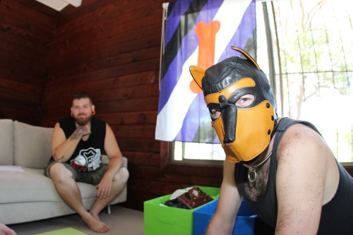 Gryph and Arrow relaxing at Pup Camp part porn pictures