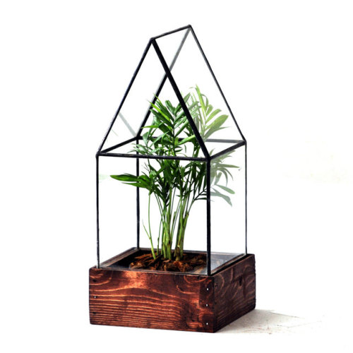 sosuperawesome:Terrariums Lead Head Glass on Etsy