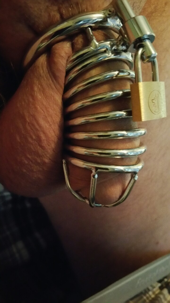 tyedup4u:  My newest device, 1.75 inch ring, much shorter tube than my other metal.