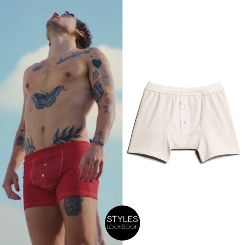 In the As It Was music video, Harry is wearing Merz b. Schwanen boxers which were hand dyed red for 