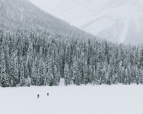 Emerald Lake, BC - www.chrisamat.com