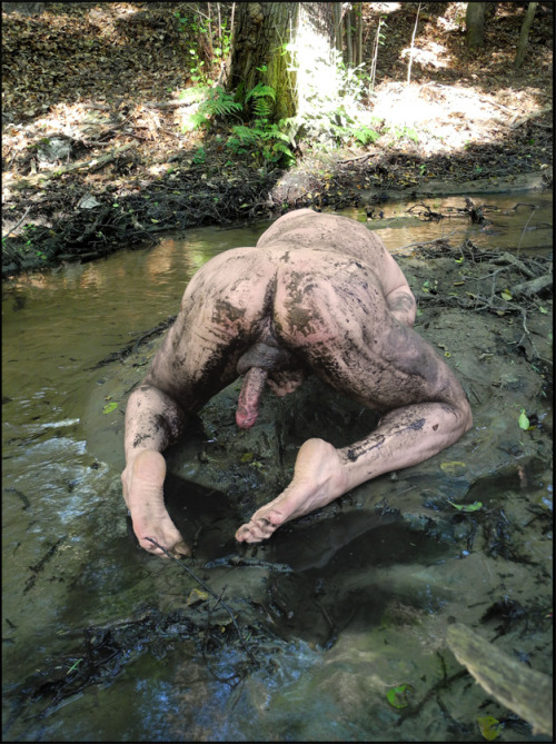 k9humano: Mud dog So sehen Drecksäue aus wenn man Sie allein im Wald lässt.