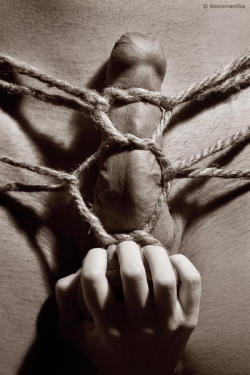 slaveofgeekdomme:  myinnerdomme:  I have GOT to learn me some rope skills  i know who will appreciate this … 