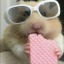 geceninrengi-ama-pembe