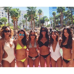 meanwhileinvegas:hunnies 💕 #bebotsinvegas #vegas by sarajaane http://ift.tt/1HBIsi2