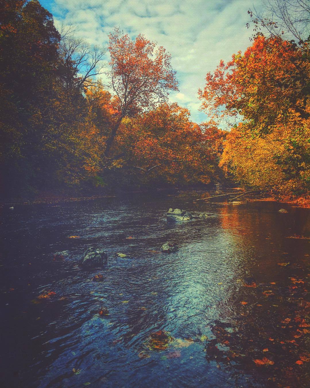 themountainlaurel:  Lovely day (at Meems Bottom Covered Bridge)