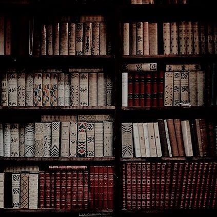 Dark Academia Moodboard☂️.