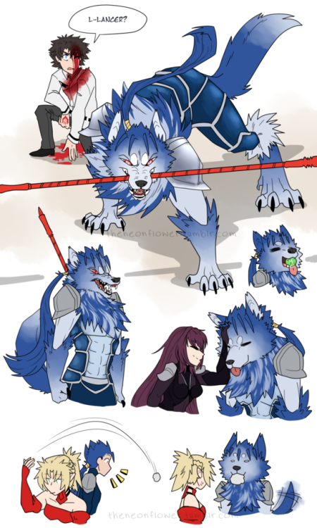 celticpyro: theneonflower: absolutely nobody is surprised that cu can turn into a dog in my fate au,