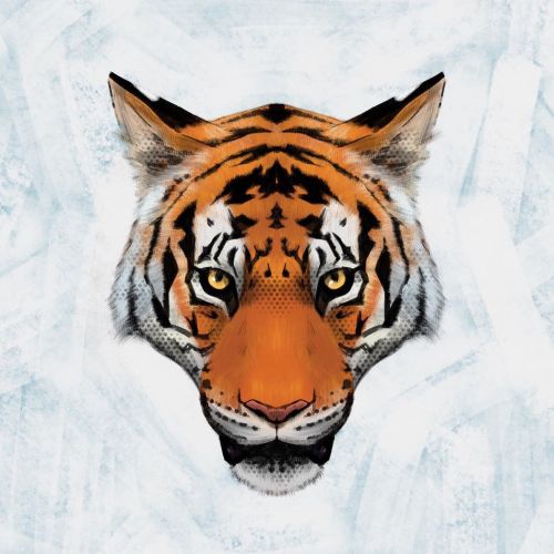 Tiger tat idea#tiger #animal #animalart #illustration #tigerart #portrait #tattoo #design #bigcat 