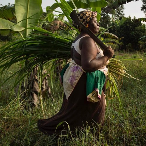 polychelles: “Betty Nanozi has been fighting for her land for over a decade simply because her