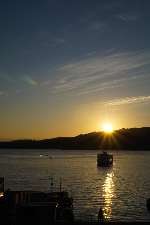 #337 Morning in Miyajima13.Dec.2015 Miyajima