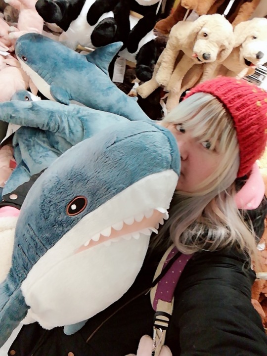 pink ikea shark
