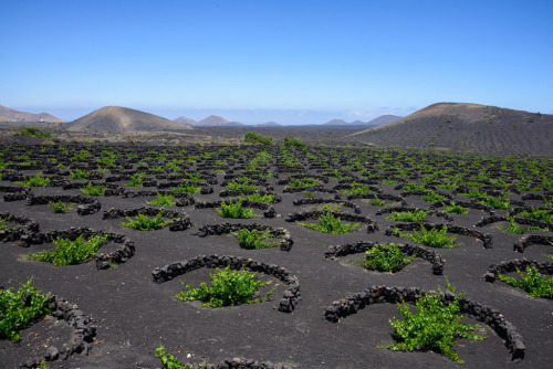 Iles Canaries en couleurs.Canary Islands in colors.