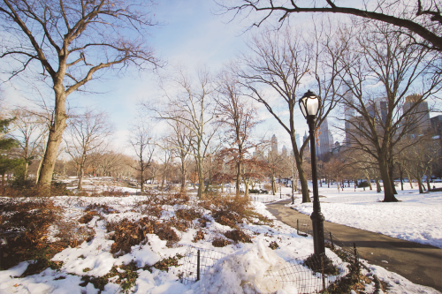 photographsfromfaraway:Winter in Central Park 