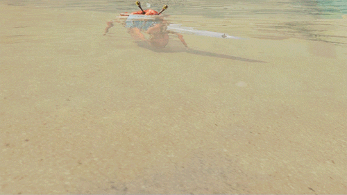 etnoika:astralhorizon:Crab ShankItem Level 1ToyUse: Gives a crab a knife. 