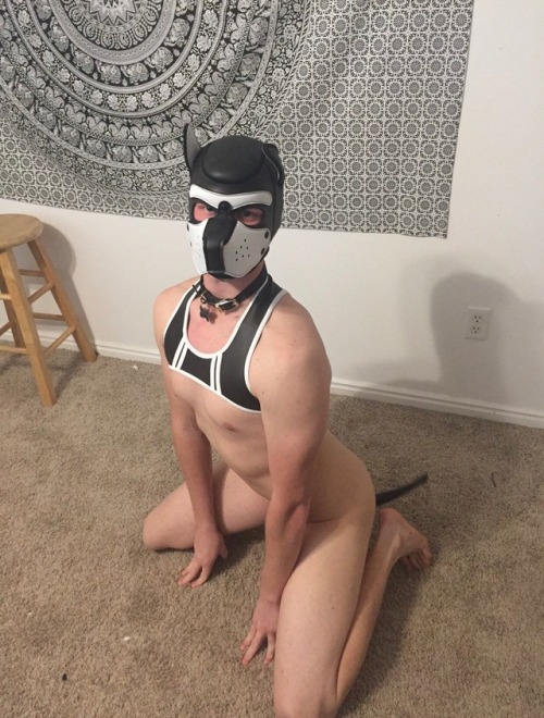 johnwishcash:New puppy hood!