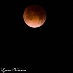 boricualyann:  #Eclipselunar #LunaRoja #Caguas #Puerto_Rico