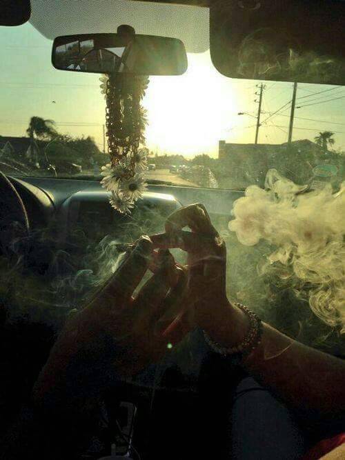 standing-in-flames:Paradise 🌈