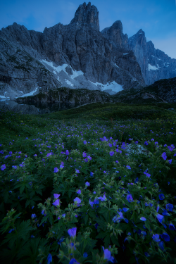 expressions-of-nature:  by: Marco Meneghel