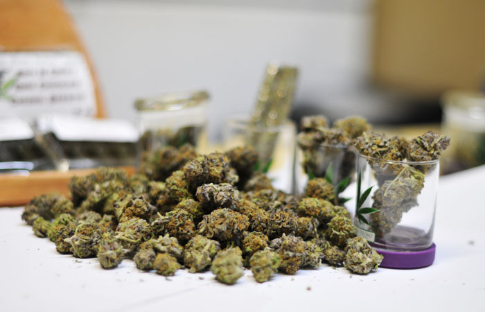 The Cannabis Queen