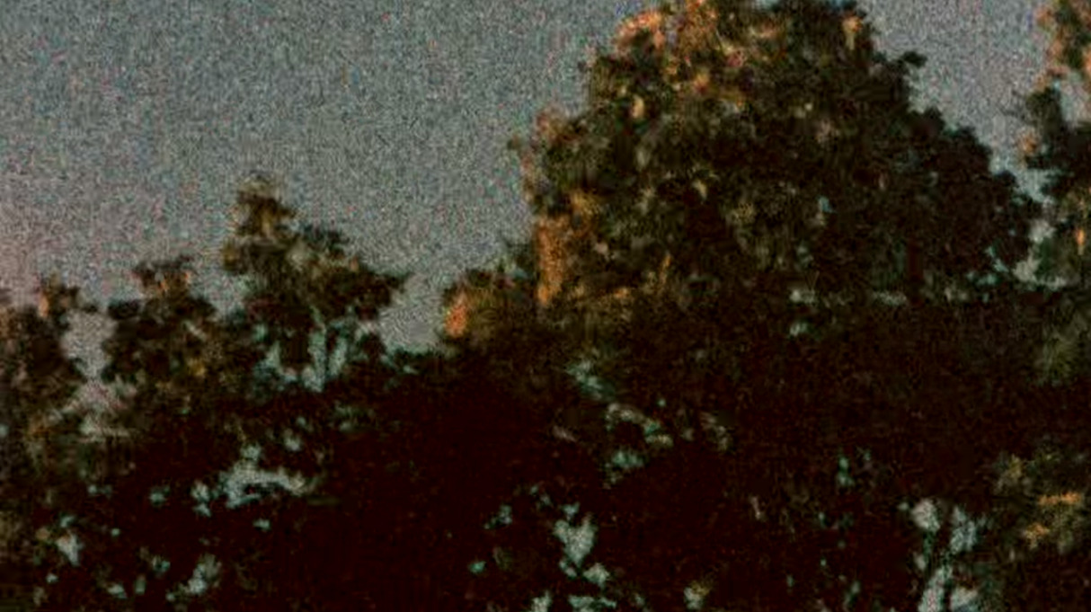a-quiet-life: 1977, Kodak 160G Super 8 film (expired) 