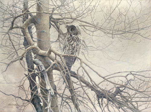 Robert Bateman Ghost of the North - Great Gray Owl, 1983 Giclee Canvas