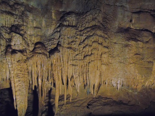 rabbitcruiser:In Kentucky’s Mammoth Cave National Park, a Cave Research Foundation exploration and m