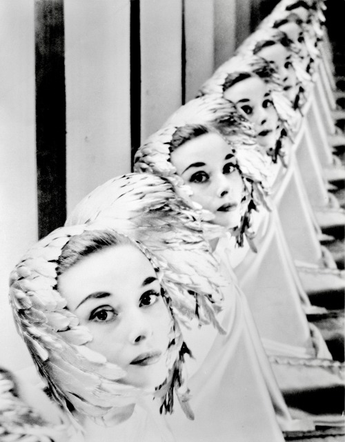 Audrey Hepburn photographed by Erwin Blumenfeld (1952)