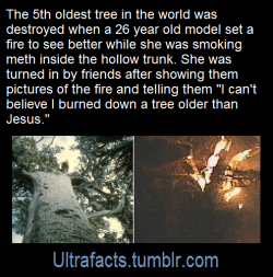 ultrafacts: Source Click HERE for more facts