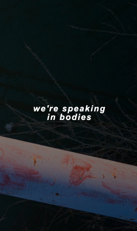 gentlemanlyrics: settle down || the 1975