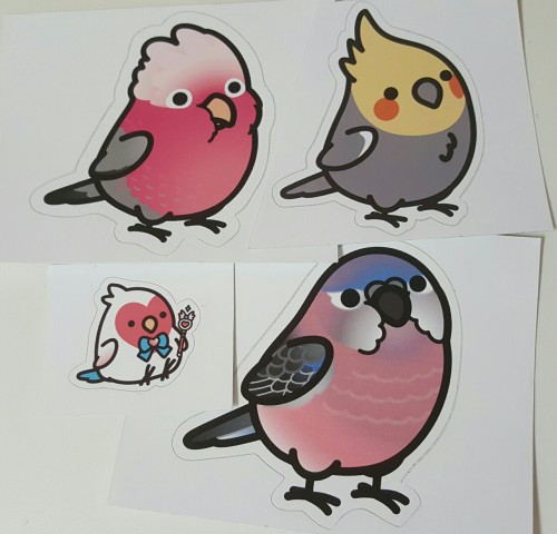 New bird means new decal! I&rsquo;ve finally added @craigthebourke to my car, and look at these chub