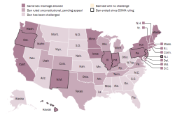 The Changing Landscape Of Same-Sex Marriage &Amp;Ldquo;Proponents Of Same-Sex Marriage