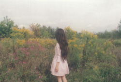 jess-woods:  in the meadow 