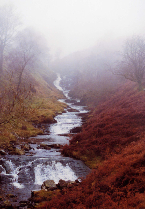 Sex touchdisky:  Waterfall in the mist by fidget65 pictures