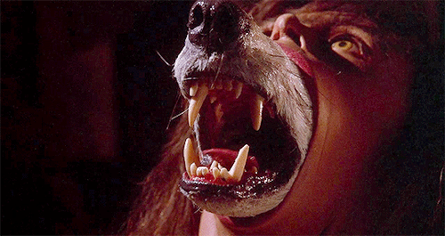 horroredits: The Company of Wolves (1984) dir. Neil Jordan