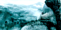 King Ragnar.  Final scene from Vikings, Season 2, Episode 10, “The Lord’s Prayer”.
