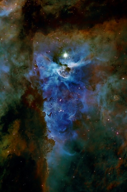 thedemon-hauntedworld:Eta Carina nebula NGC3372 in colour maped Narrowband Credit: Fred Vanderhaven 