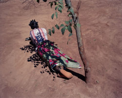 pursuable:  Viviane SassenFlamboya, 2011