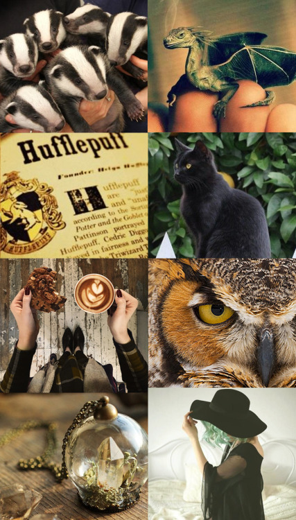 xtoxictears: HufflepuffAll ten of my first sets~