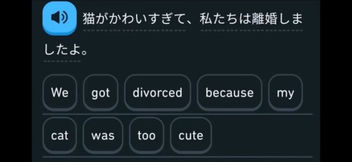 Bros As Random Duolingo Sentences
