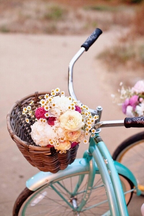let-itbebabygirl:  miss—mouse:  Oooh, I want a purty bicycle with a widdle basket!