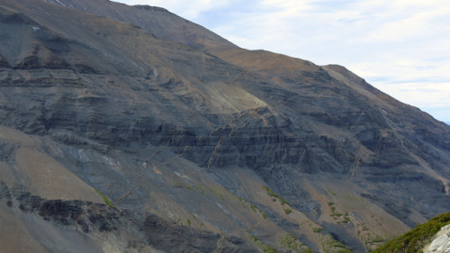 geologicaltravels:2016: Miocene dyking in late Cretaceous flysch deposits of Torres Del Paine NP in 