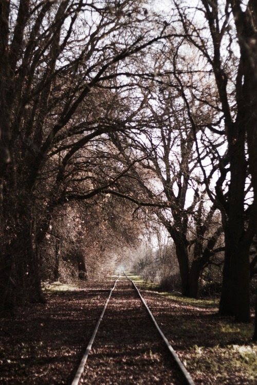 skylerbrownart: more railroad wanderings(abandoned railroad near Sacramento) by Skyler Brown Tumblr 