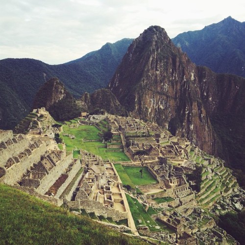 Machu Picchu #OnlyInSouthAmerica (at Machu Picchu)