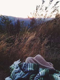 wild-tea:  Nature and all 