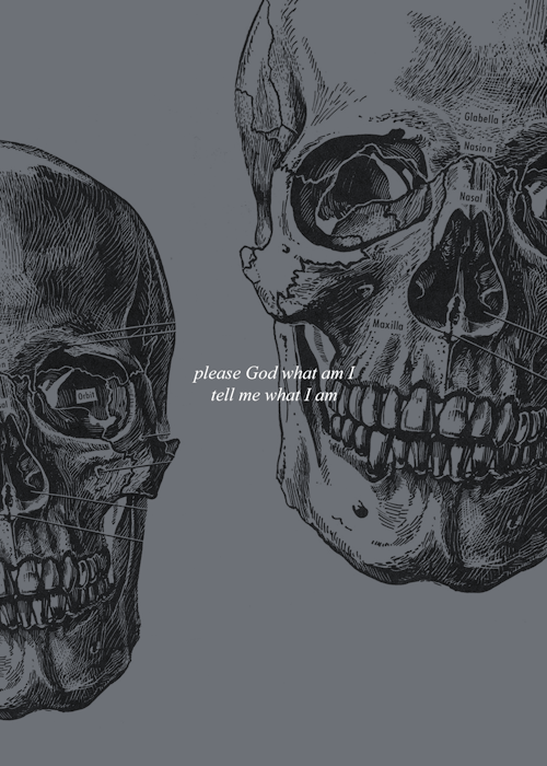 bluesrrgent: trc character study [2/6]: ronan lynch“They were silent through communion, as Noa