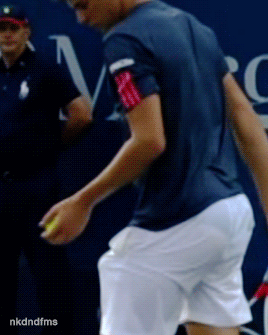 nkdndfms:Dominic Thiem