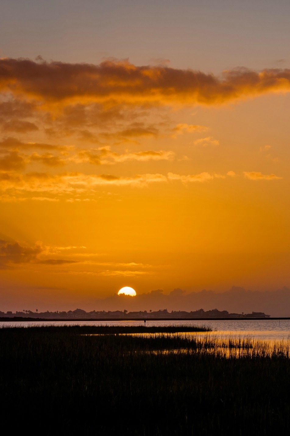 sundxwn:  Time for Rest by Jianhua Zhang