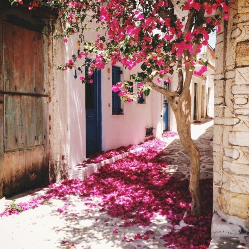 chanelbagsandcigarettedrags: Naxos, Greece